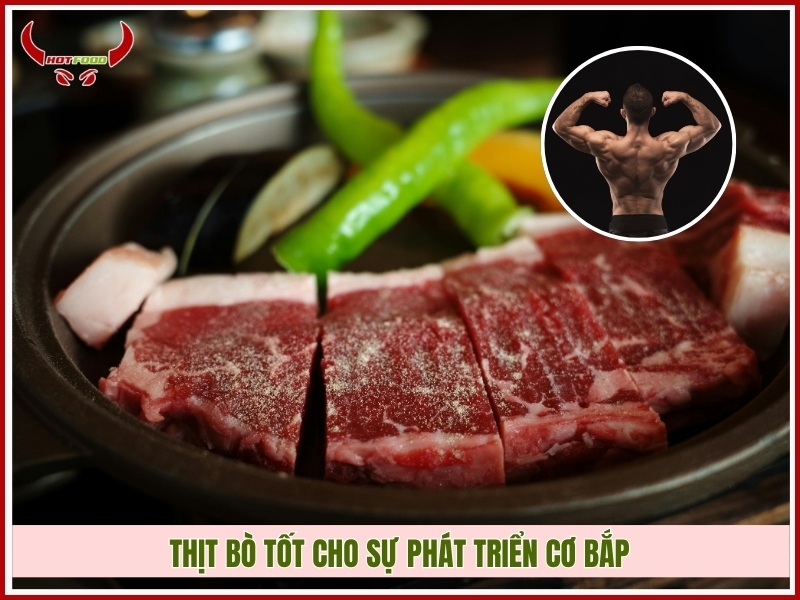 Thịt bò tốt cho sự phát triển cơ bắp