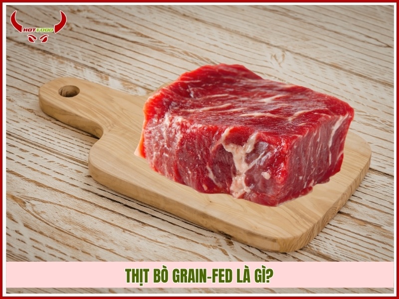 Thịt bò Grain-fed là gì?