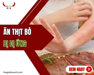 Ăn thịt bò bị dị ứng thì phải làm sao?