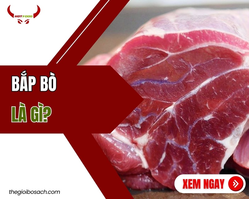 Bắp bò là gì? Các loại bắp bò cách chọn và MÓN NGON