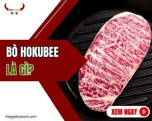 Bò hokubee là gì
