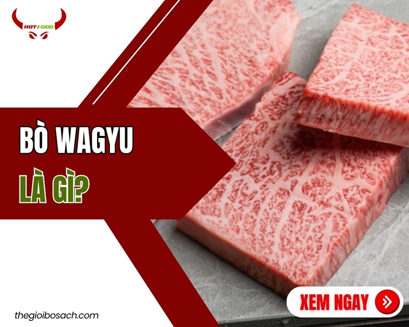 Bò Wagyu Là Gì? Ưu Điểm, Lịch Sử Của Thịt Bò Wagyu
