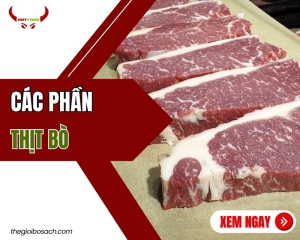 Các phần thịt bò