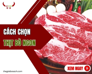 Cách chọn thịt bò NGON, KHÔNG HÓA CHẤT