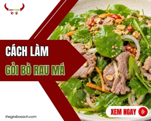 Cách làm gỏi bò rau má