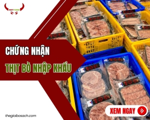 Chứng nhận thịt bò nhập khẩu