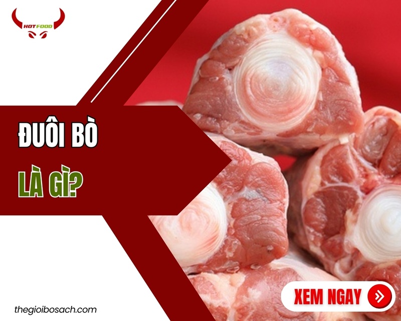 Đuôi bò là gì? Dinh dưỡng cách chọn mua và CHẾ BIẾN