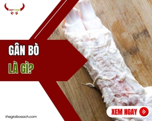 Gân bò là gì?