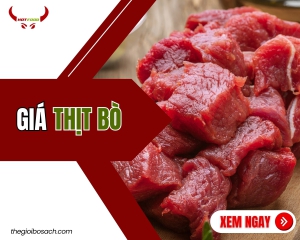 Giá Thịt Bò