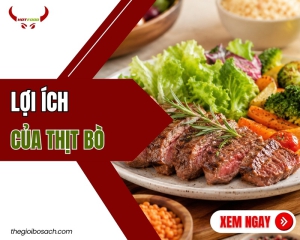 TOP 8 lợi ích của thịt bò khi sử dụng