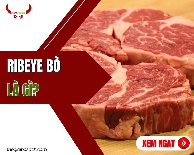 ribeye bò là gì?