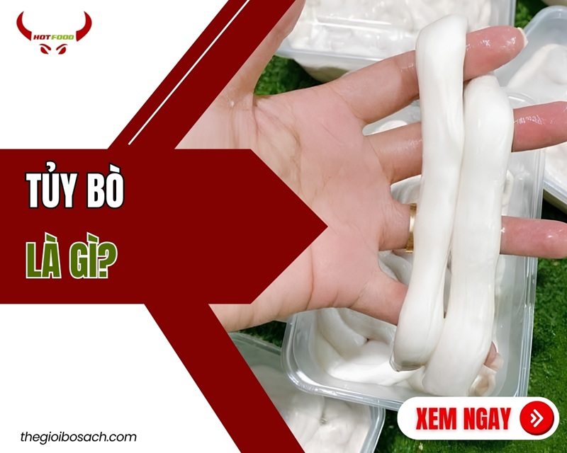 Tủy bò là gì? LỢI ÍCH dinh dưỡng cách dùng và địa chỉ mua