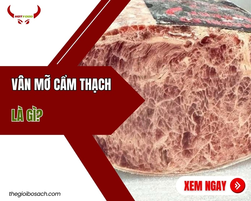 Marbling (vân mỡ cẩm thạch) là gì? Tiêu chuẩn ĐÁNH GIÁ