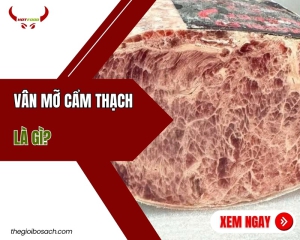 Vân mỡ cẩm thạch là gì?
