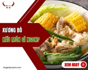 Xương bò nấu món gì ngon? 