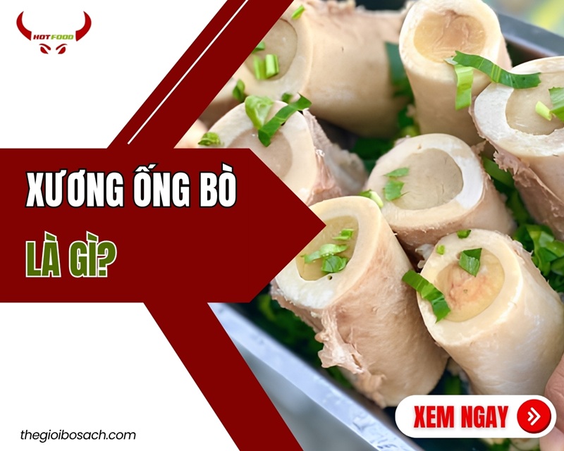 Xương ống bò là gì? Đặc điểm DINH DƯỠNG và cách chọn