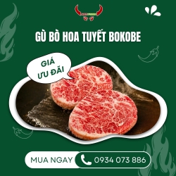 Gù bò hoa tuyết Bokobe