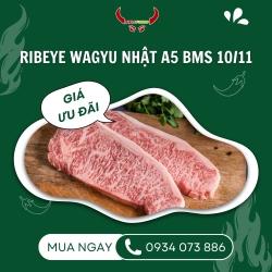 Ribeye Wagyu Nhật A5 BMS 10 /11